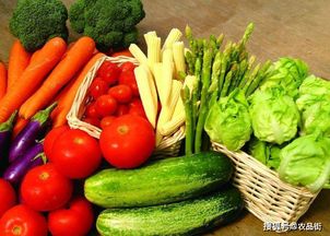 农业社交电商 绿色食品博览会中的农产品销售新篇章