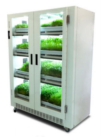 层架式无土栽培 开启芽苗菜绿色培育新篇章