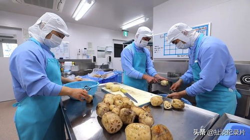 从“食育”到品质 探秘日本中小学的营养午餐之旅